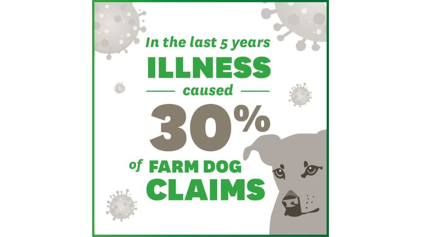 Farm dogs and illness