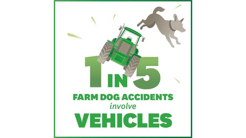 Farm dogs and vehicles