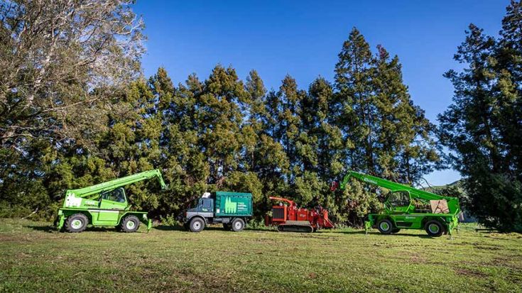 four tree control vehicles lined up under trees 