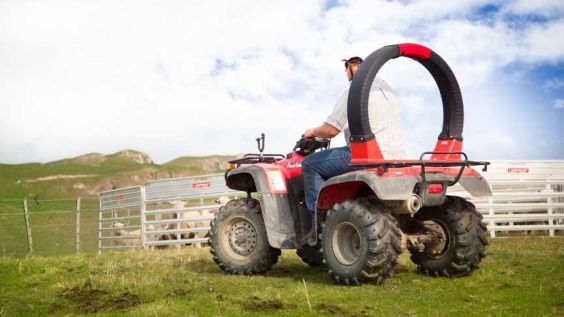 Quad and sheep yards 